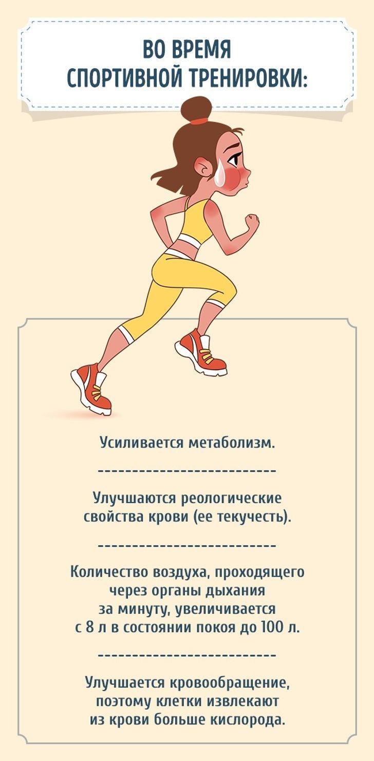 dSlAP7rq9FE - Что происходит с телом, если заниматься спортом 30 минут в день