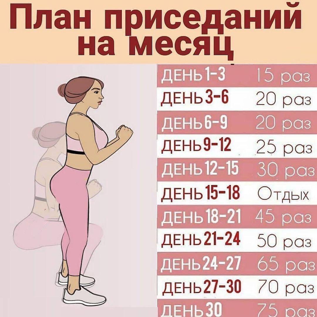 iJanaq7WL 0 - План приседаний на месяц