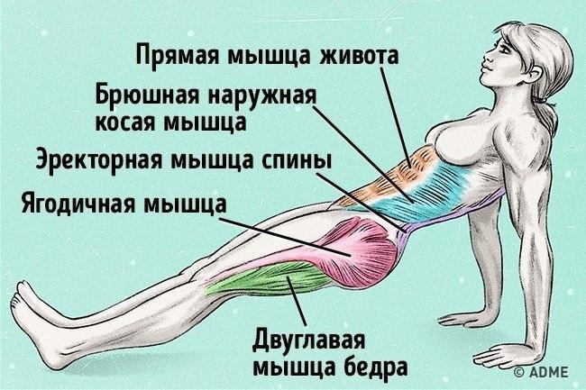 mr1tH73ZYrY - Упражнение, которое поможет сжечь жир и исправить осанку ☺ 