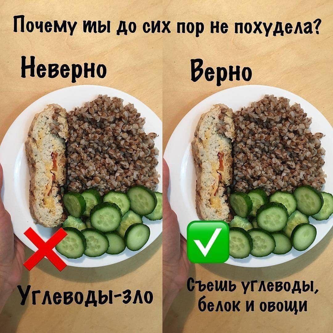 rKF4uF51nmY - Подбираем рацион правильно