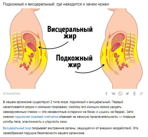 ryg 5xsP1k8 - Сколько жира должно быть в здоровом организме