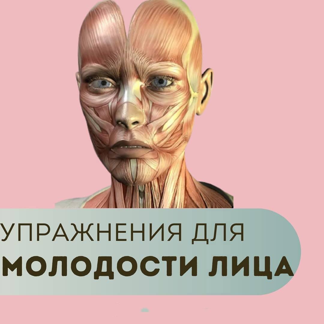 X5y27 B1ais - Очень простые и многим знакомые упражнения, которые помогут вам выглядеть моложе!