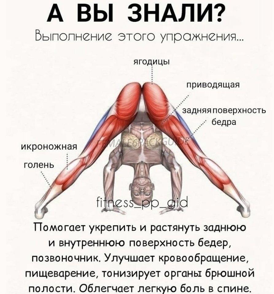 bt65TTIw0DQ - Так же помогает укрепить супружеские отношения