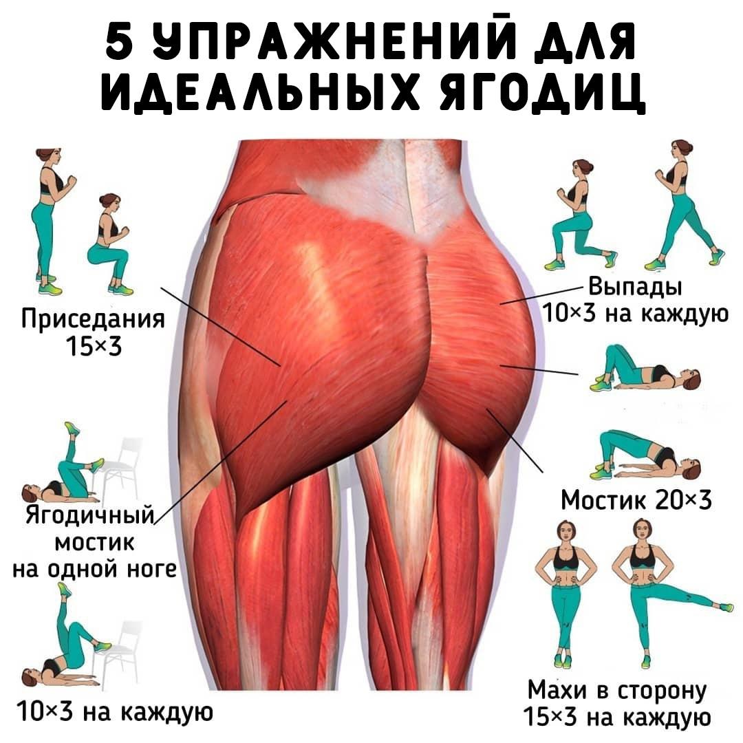 AShkIxUg2Y0 - 5 упражнений для тех, кто мечтает о подтянутых и упругих ягодицах