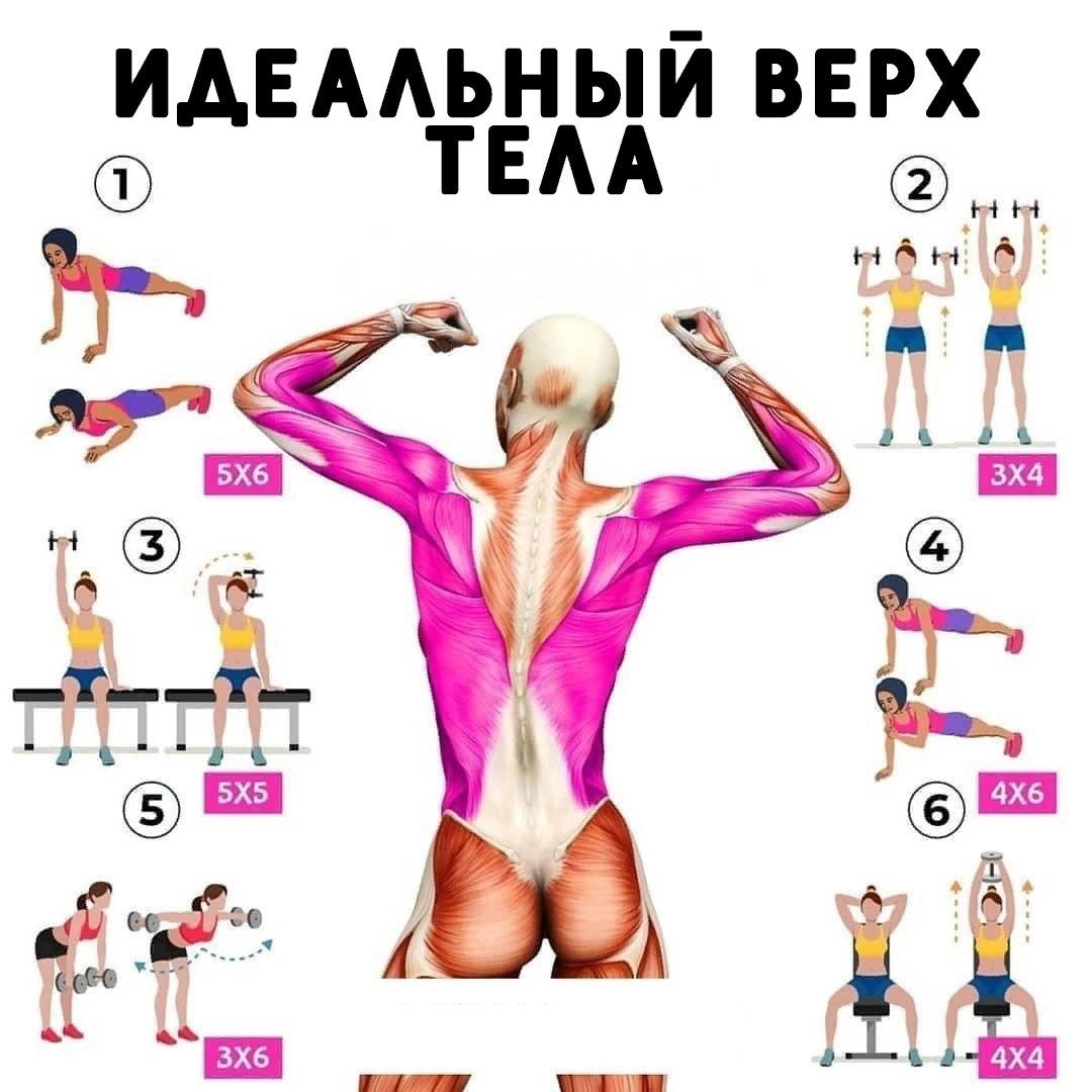 10 xyLXKkUo - Для формирования красивой пропорциональной фигуры девушкам не стоит избегать тренировок на верх тела
