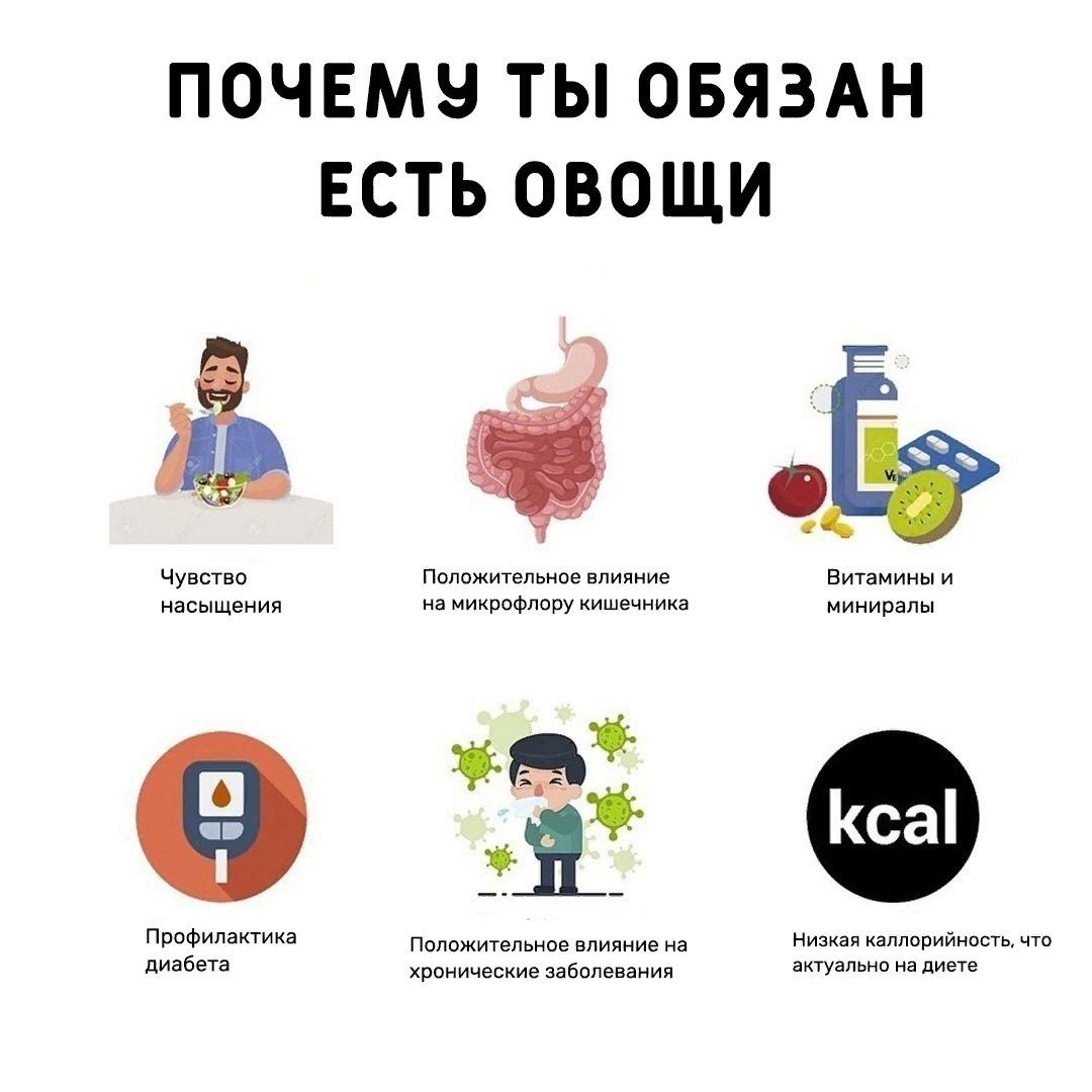 bR8tDhwY Rk - Мы представляем вам основные причины, чтобы включить в свой рацион