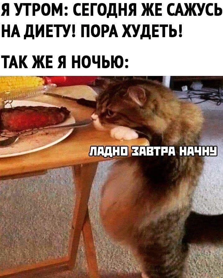 xn JVNVbJSE - Ох уж это завтра