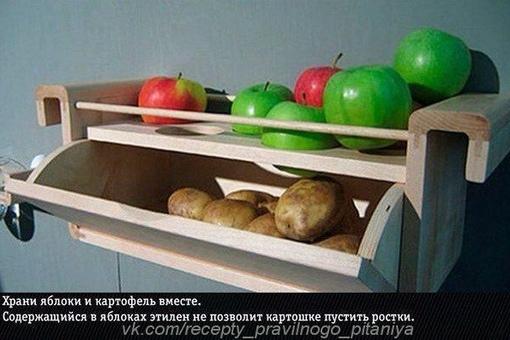 se f61qcXCE - А вы знали?