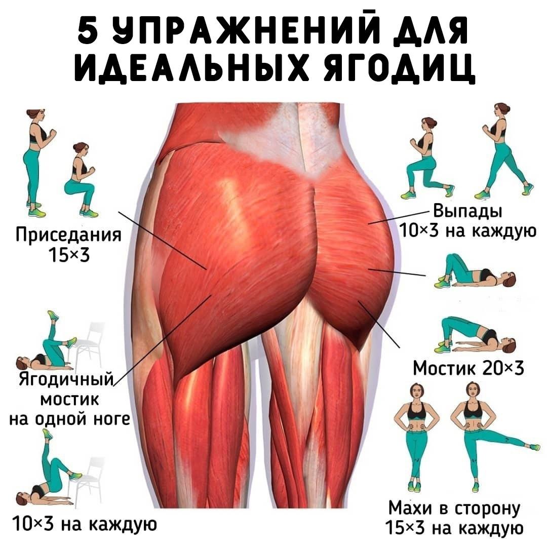 zxUZVWXe p0 - 5 упражнений для тех, кто мечтает о подтянутых и упругих ягодицах