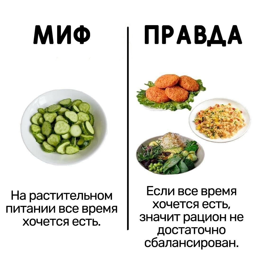 8njyAu4oj9s - Прекращаем верить в эти мифы