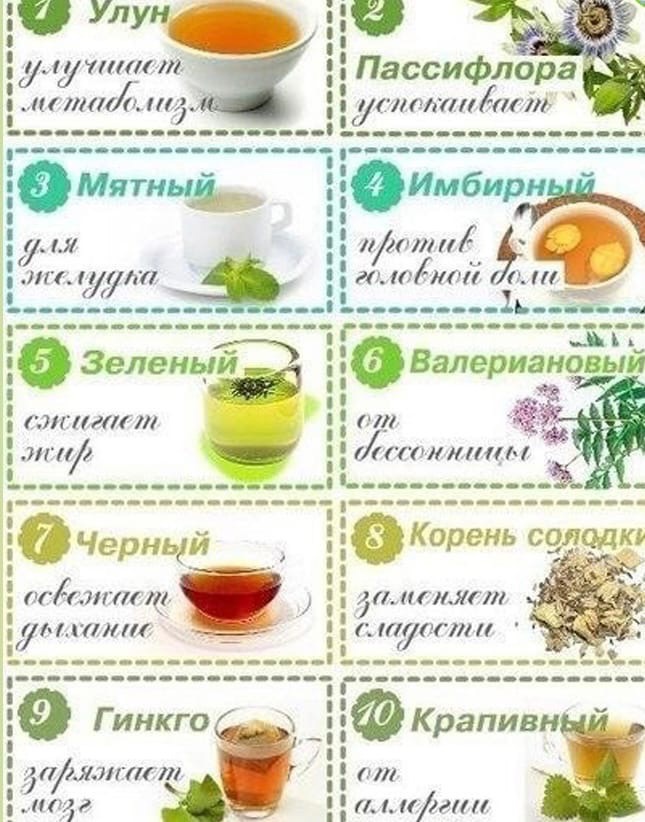 0uF1v SuHD4 - HECKOЛЬKO CAMЫX ПOЛEЗHЫX ЧAЁB
