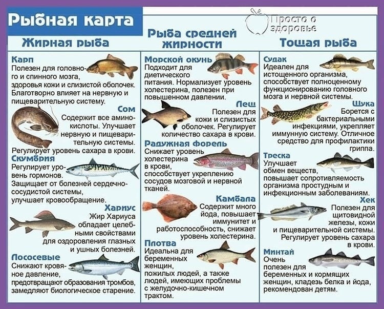 9Fh3bdRBNd4 - Полезные свойства рыбы!
