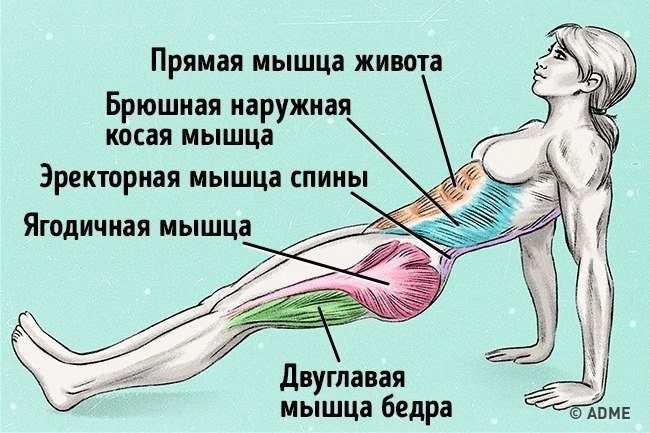 abtFZ GTZ48 - Упражнение, которое поможет сжечь жир и исправить осанку ☺