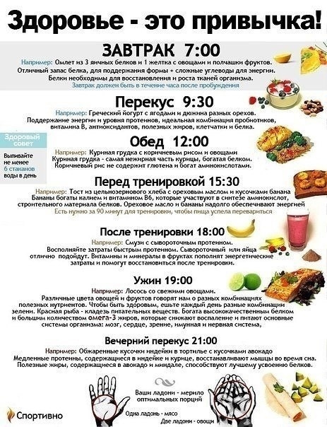 Ya11xTR3LJY - Чем питаться и в какое время?
