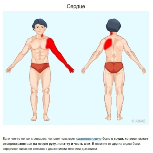 s2hGhzLVp18 - Часто, чувствуя дискомфорт в теле, мы строим догадки, что же все-таки с нами произошло, поэтому вот вам полезная подсказка