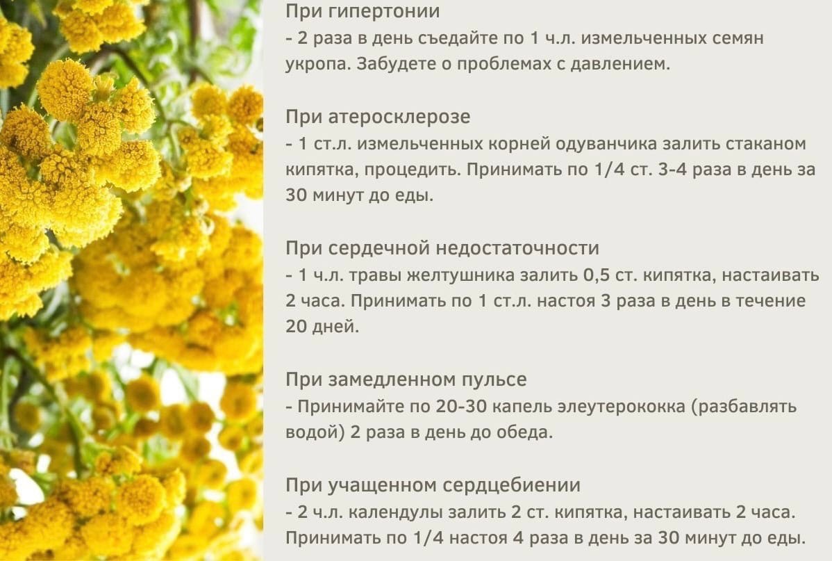 sqHQBNcxuxE - ЛЕЧИМ СЕРДЦЕ ТРАВАМИ В ДОМАШНИХ УСЛОВИЯХ