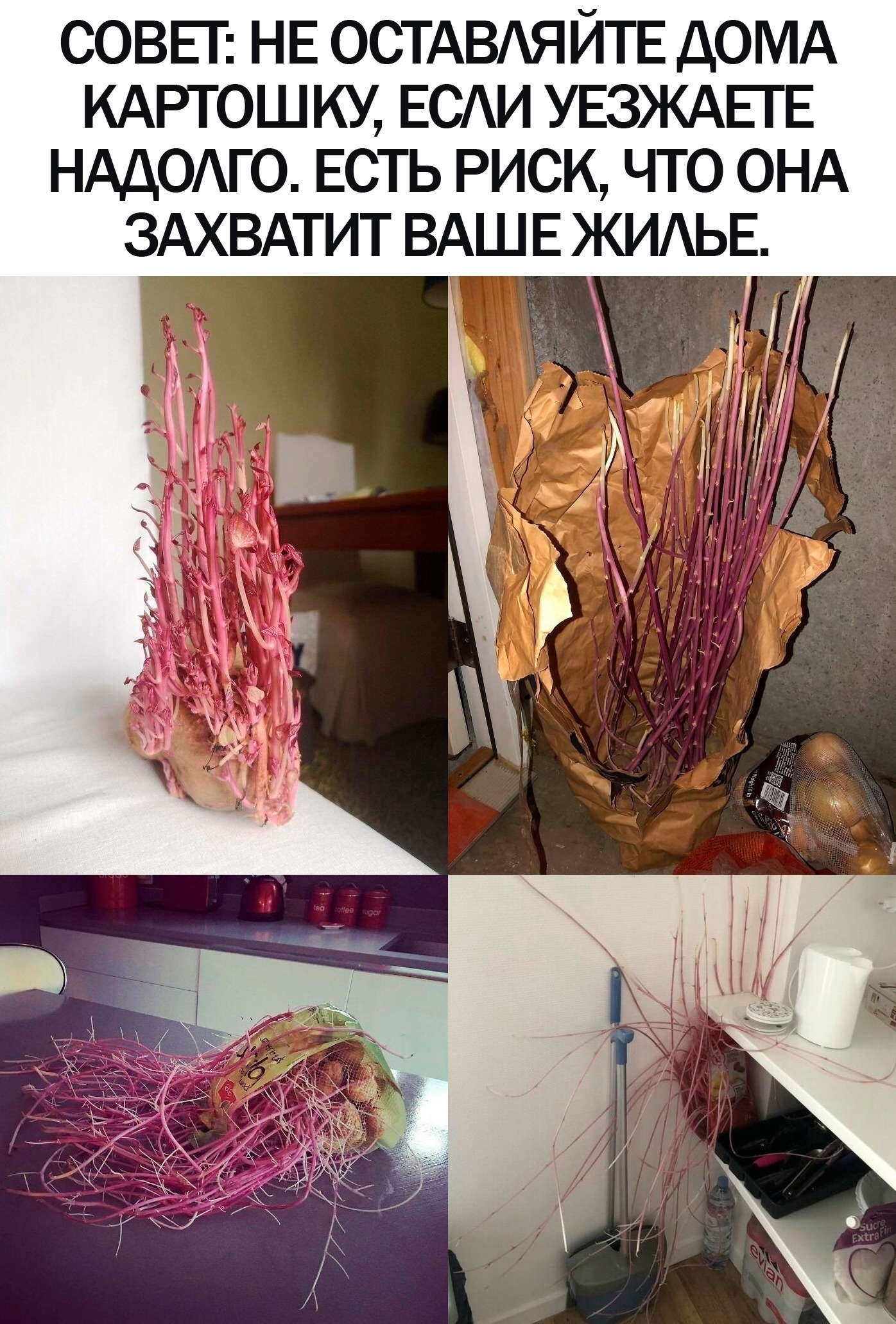 um4Y7YaNLwU - И такие случаи бывают!