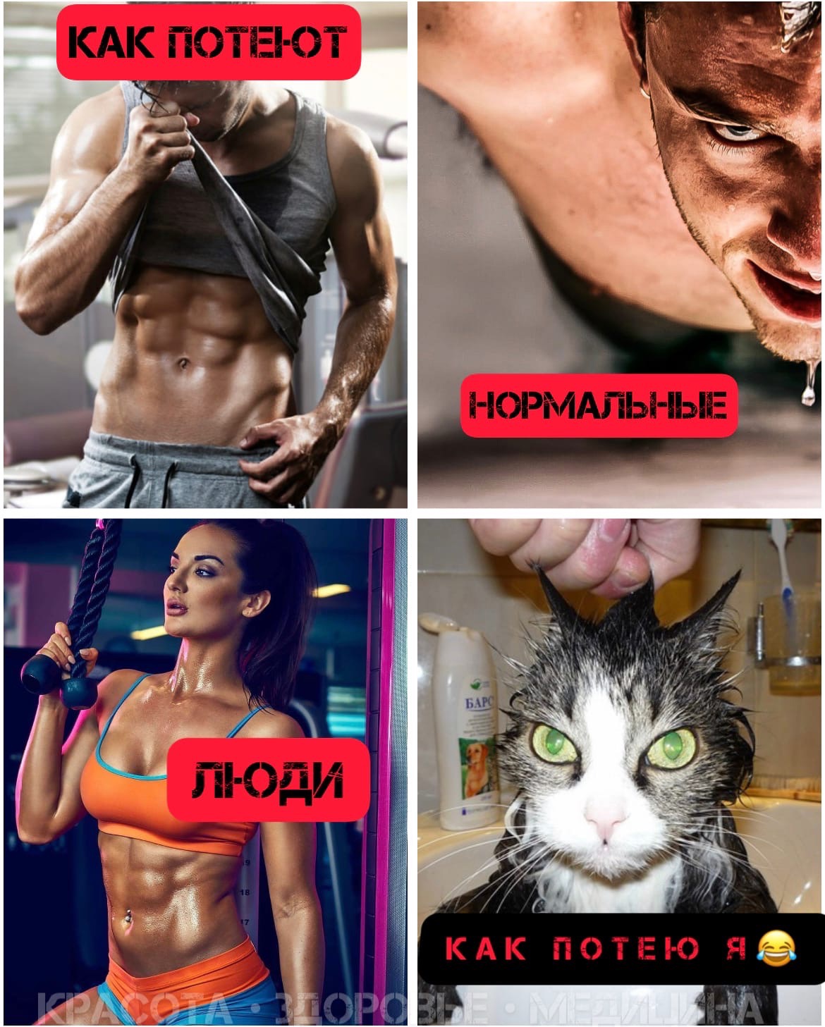 L6vv0rZaEw - Потеть- это нормально.