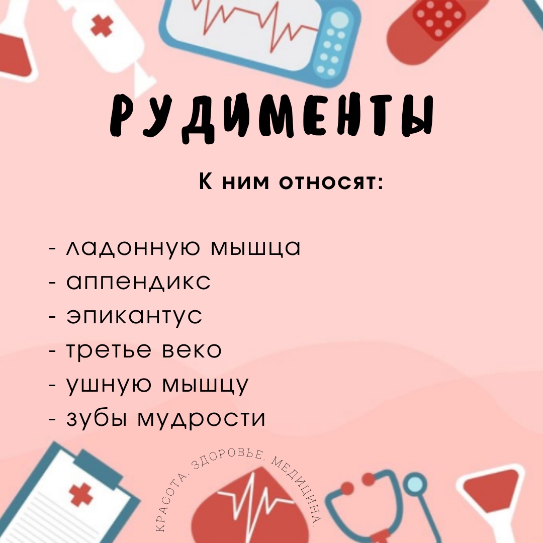 TaAZ1TsLIZs - Рудименты - дух прошлого, органы, которые не выполняют никакой функции, но служили нашим предкам.