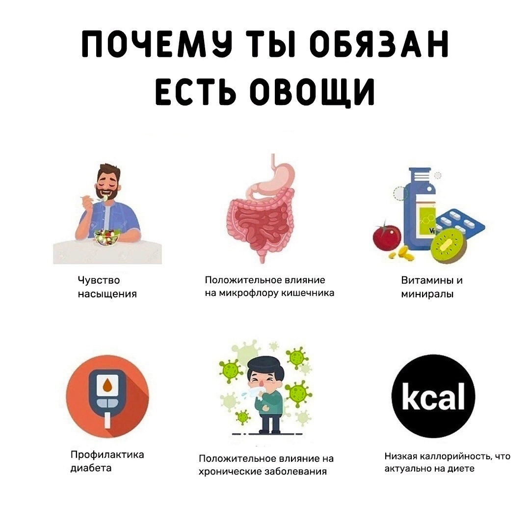 djiwGY0FZUQ - Овощи являются незаменимым продуктом в рационе любого человека!