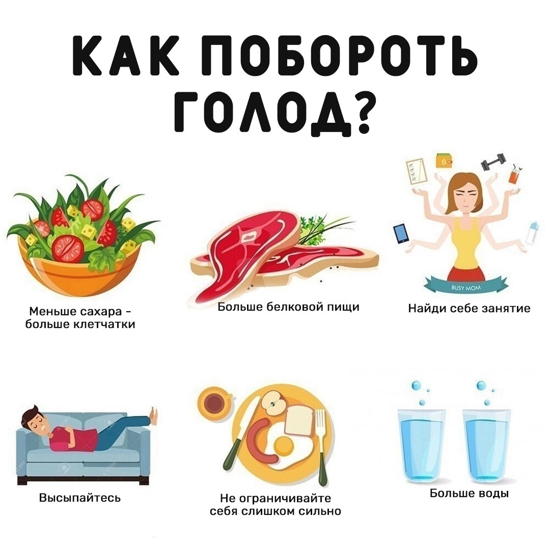 4ceV8ZoVi9Fezl9 yezL9QdHo7n4HE3q7nuqjhxiLdc0qYLYaPgXfA ExLDW3IhVuB MQYiAZ6KlfKtVmKa3Syll - Обманываем голод с помощью этих советов!