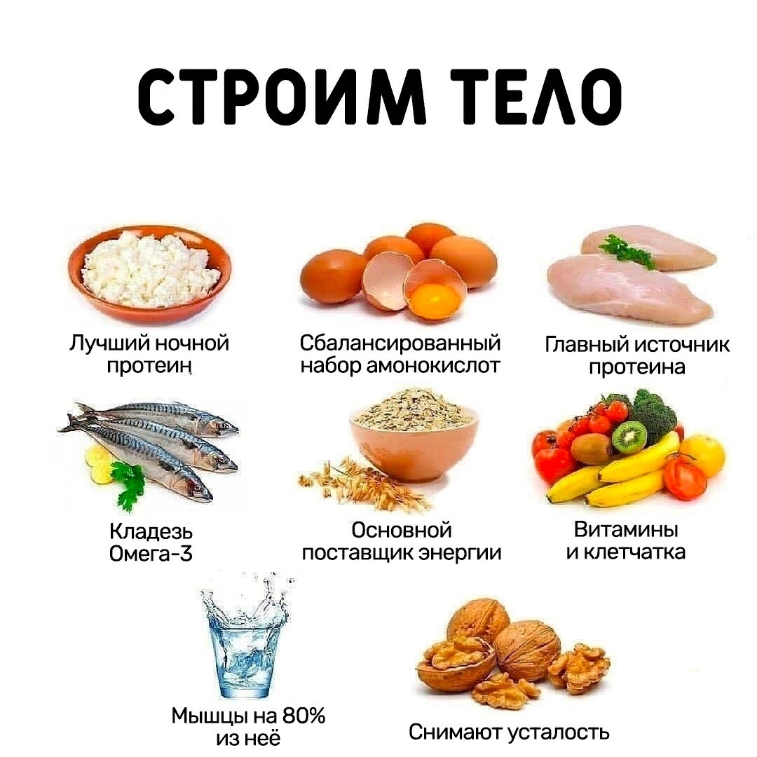 5ZoWZ1z1Oi7cJi4Jp1UF444Ndp Na3MfklWrbEfR3khaJKIvNypetvfPAxfMn10fMpL8OFeAN4zfqlbVSXE0IMlC - Продукты, без которых ни одна диета не может обойтись!