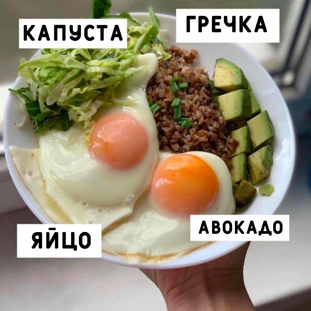 PYtrqbZLPJfwsRY qE75dPhwVBrKPah ELwMyHUZq74 dn8ov56zq3dvHM9C8Xt O4KVEmACHFL6A9sF3XMPfkHb - Сбалансированные и полезные рационы