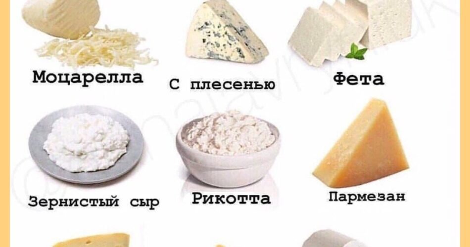 Тест какой ты сыр. С чем кушают пармезан. Какой сыр самый полезный для женщин.
