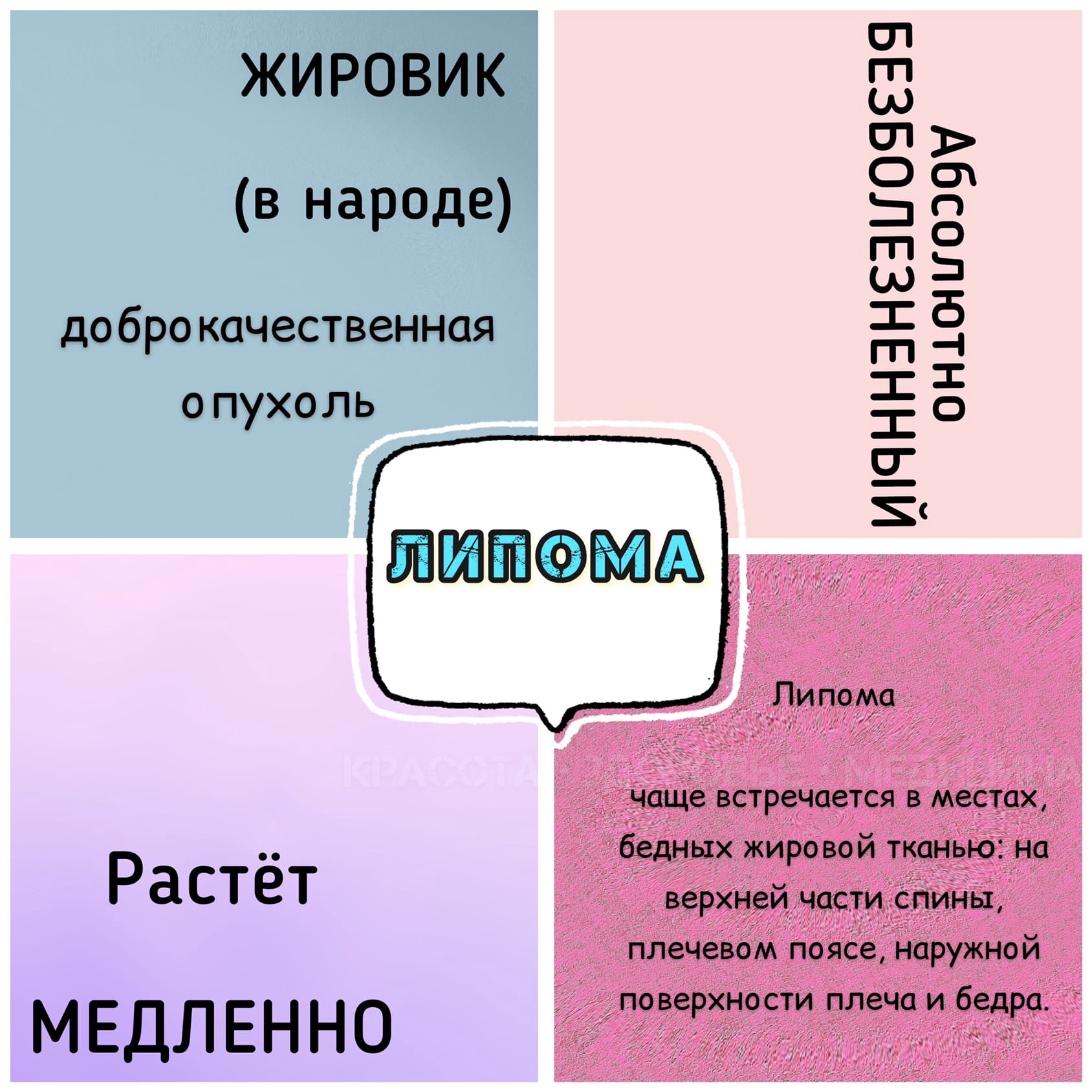 qr6KU EXr9bC9Hkqc 8G qoYN71 mlTIXbCl8c NZ ELsfJBlY0d2M CTGu9N8Wc PCMz9WuVEvVs3h7727n0EBu - Знаете ли вы что жировик и камедон не одно и тоже ?
