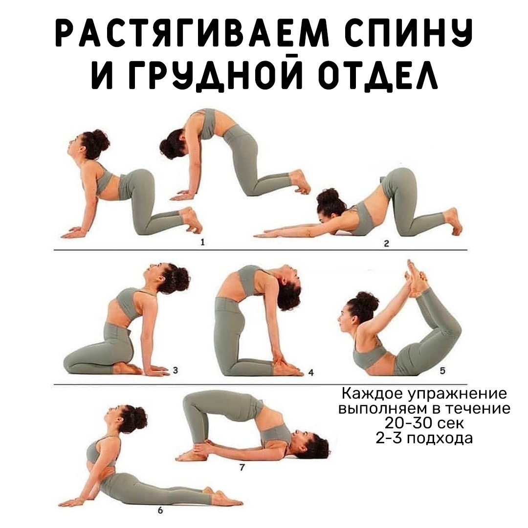 2p5GMdcL7YRL3IXPVRpTQ NodC00IK EotkqPUXqZuSf UDiqb2OB9FHHQTivUA2KJfhrOUgjWTc2shUgwGbZPUx - Растяжка на каждый день, чтобы сохранить здоровье
