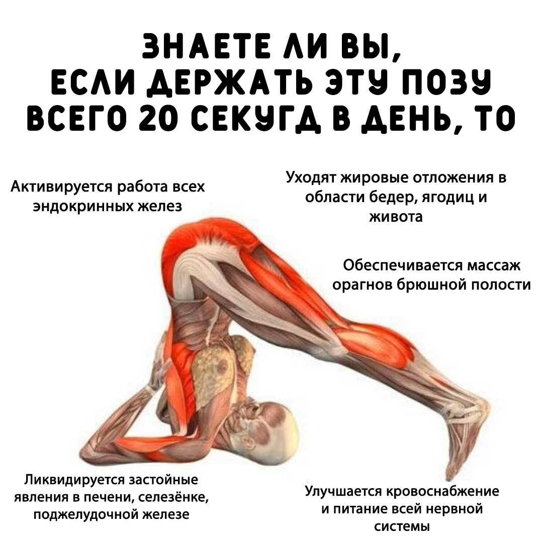EiBSY40w2kzg1iHupOImfAjkSprjvHbR5eLbxILmz8XAvlMuuUakrD4Sal8NnpgfICJsX3cjVfSuc7JfUl8Tp5ad - Одна поза, а сколько пользы для здоровья!