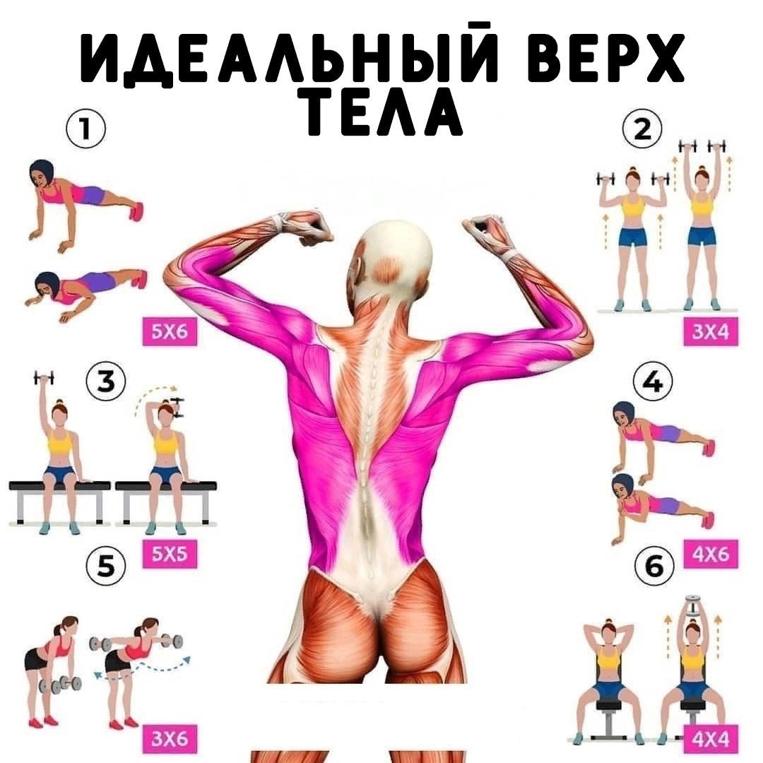 Gx JHMXY D6ev4dcaC6TgNjtiNDzVP9X6tlMX7n3zzlIf2 c2WrQGh9JktkvR nfR6BckEaOejqNrbwgKCfCn0C  - Хотите создать мощный верх тела?