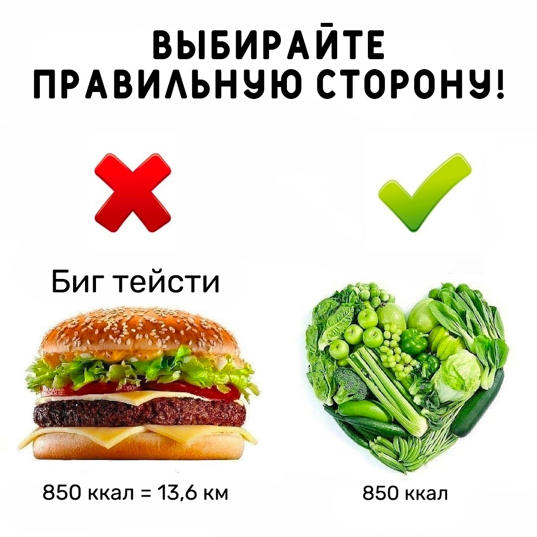 fQaiJo0KsXBNer2m84WccyWWIYCIwq0f EZE8 VMRJ6BmYxFHjkooj4wgkuuzR0B EE3dc9t5EiXnUjrajUTb137 - А какому питанию больше придерживаешься ты?