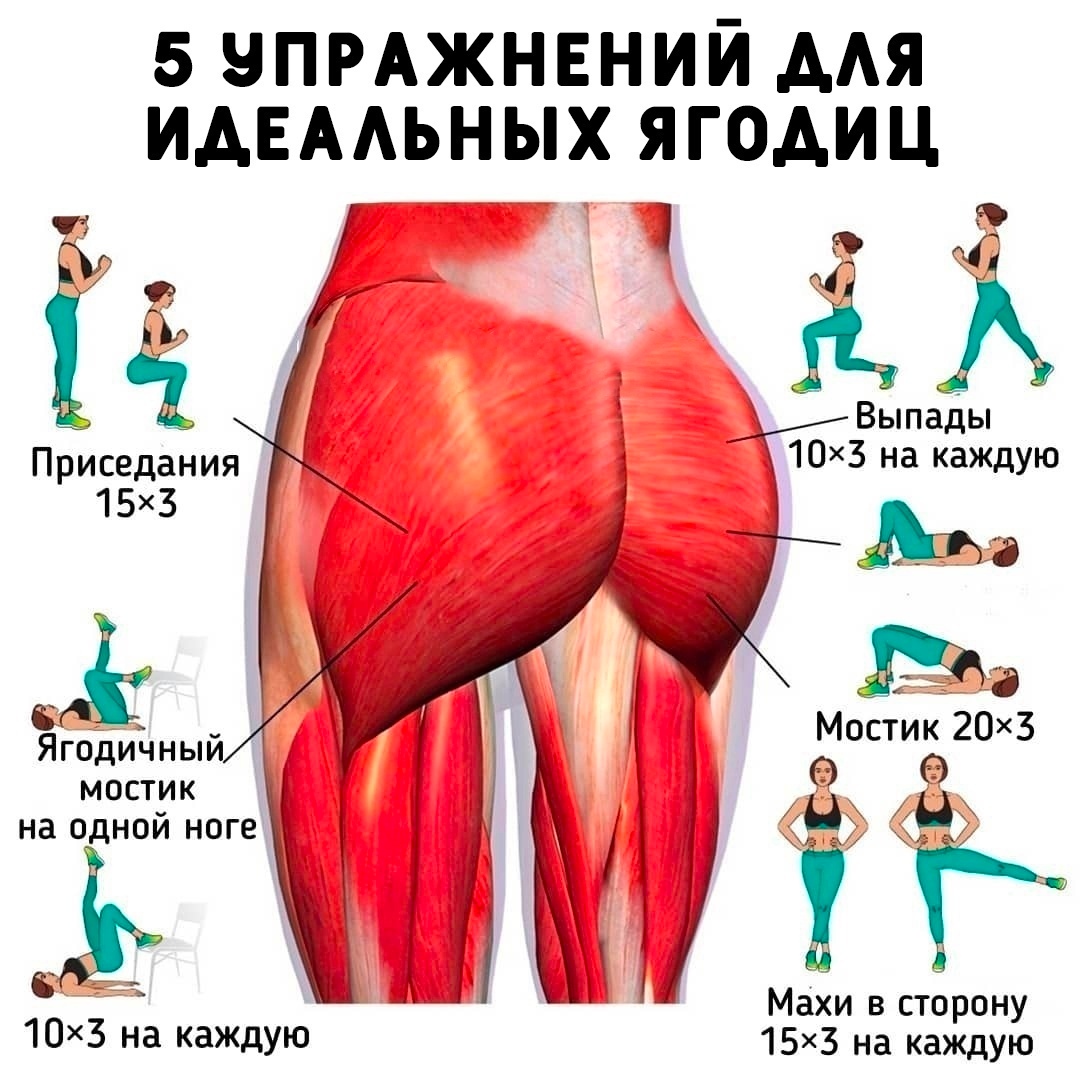 og5prQ9ugFhO98QlI6U3ng 9nqia adDyiNkefrVqCYAXNRbQ0JKt6EfN6yfFo0Ee6kwAJ8mpujABP1kjxTXU RY - Прокачиваем мышцы ягодиц с этими упражнениями