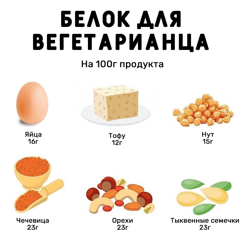 JgsO740eyGuReX6nY2pwceZY u3r7iRdkYBh5tn7UT1sNhf 966 wONScG1X6GOSbA5SA5OCZILGKrcZ v6oUecR - Берем нужное количество не животного белка