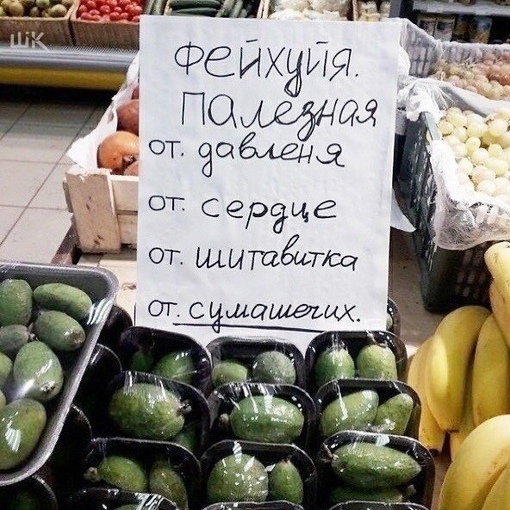 Tgy U4I23srOAc8wMtSZNMm19 8IdbqgN1onFcmcy0pQvVTUl6PTGvFXYmJRuIlKD kWxOGICl cV7WCM1G57WAl - От всех болезней!