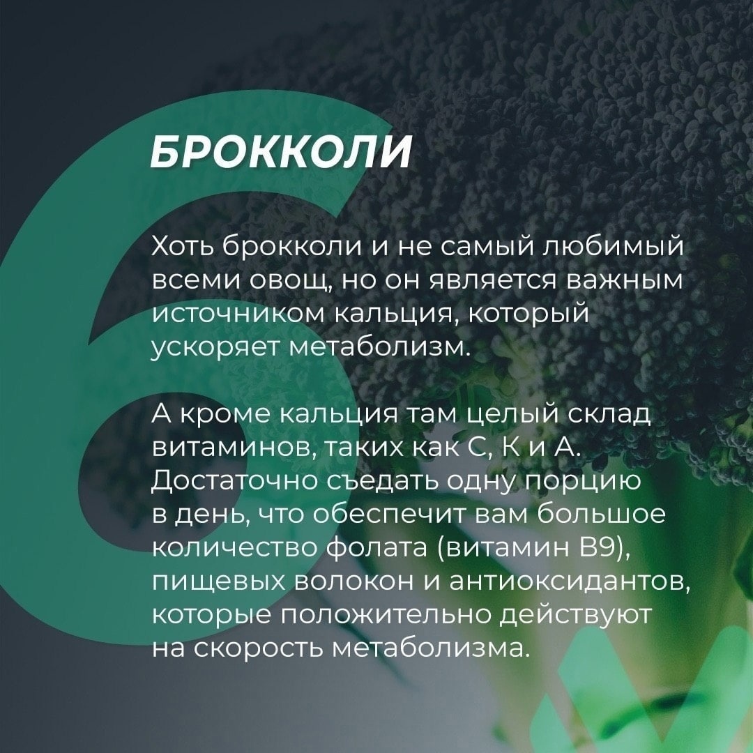 XTpGf2rEQoJs0aYNzw7NHOm6l4fK3GpKs kJ34NiA1t9uTXxm7h4FnhYobGcPCGoSoGmOqmqI3GBrEoisSjwlKVW - Кушайте брокколи и будьте здоровы и счастливы
