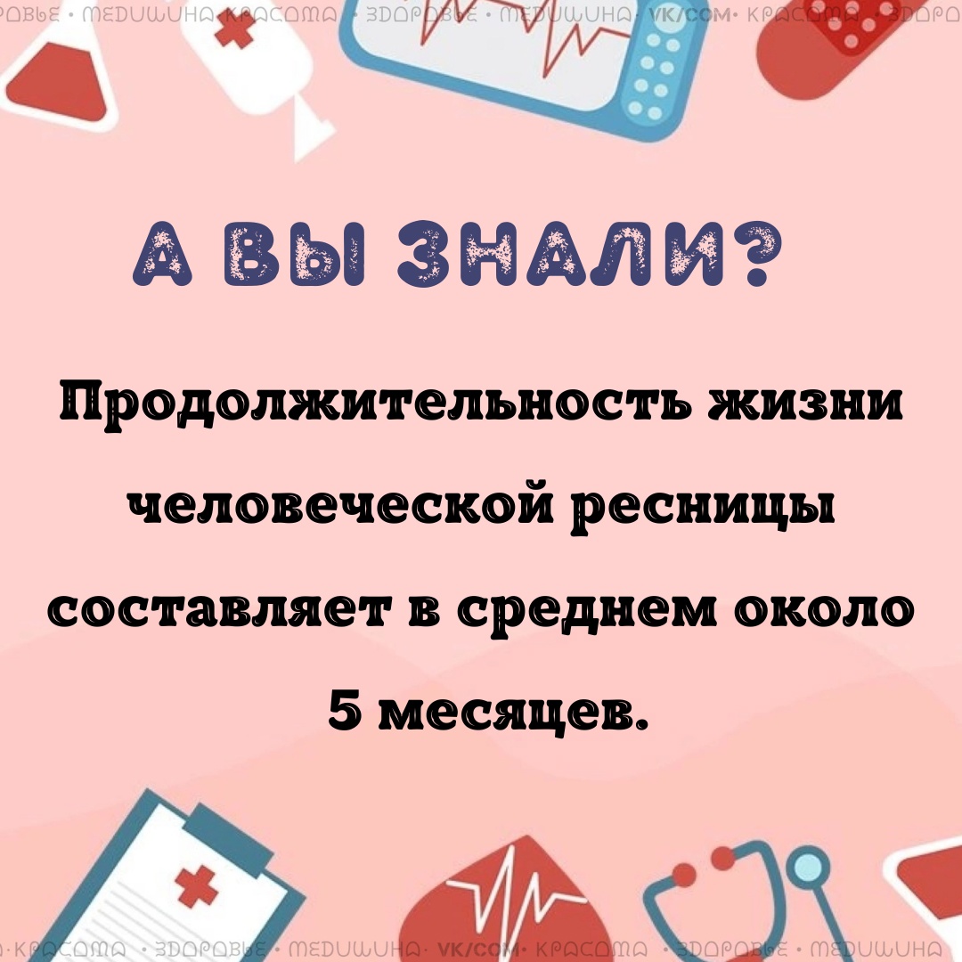 Функция ресниц заключается в том, что они защищают от попадания в глаза разного рода загрязнений. 6EceSSIfNAwbREr97IUsF0 Gb RhV9p8xSD7LmVXF1Uo1RQ VgkonNOLdit3dJ VTRmcJpEN5 EE76ZubI1c7Mx - Функция ресниц заключается в том, что они защищают от попадания в глаза разного рода загрязнений.