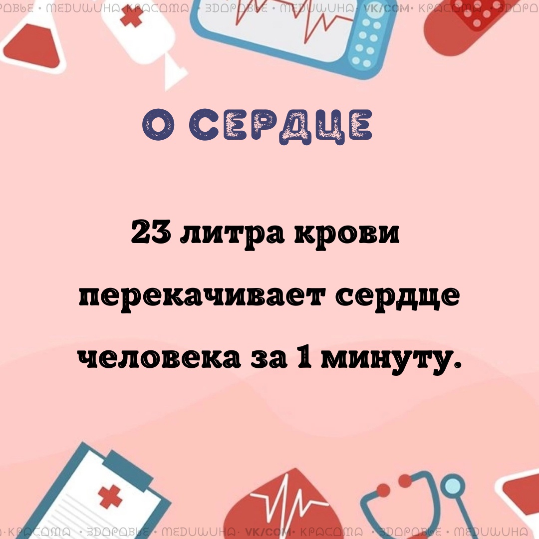 XB1mM0OU5yd5w5QYZSe04vBnhTi6 TvZrc3c2vfkGnLTh3gu0mmHh1ng86A8jHXUa7Kk88Vl6tjleMJh290zBXeM - Сердце человека является насосом, состоящим из мышц и предназначенным для перекачки крови.