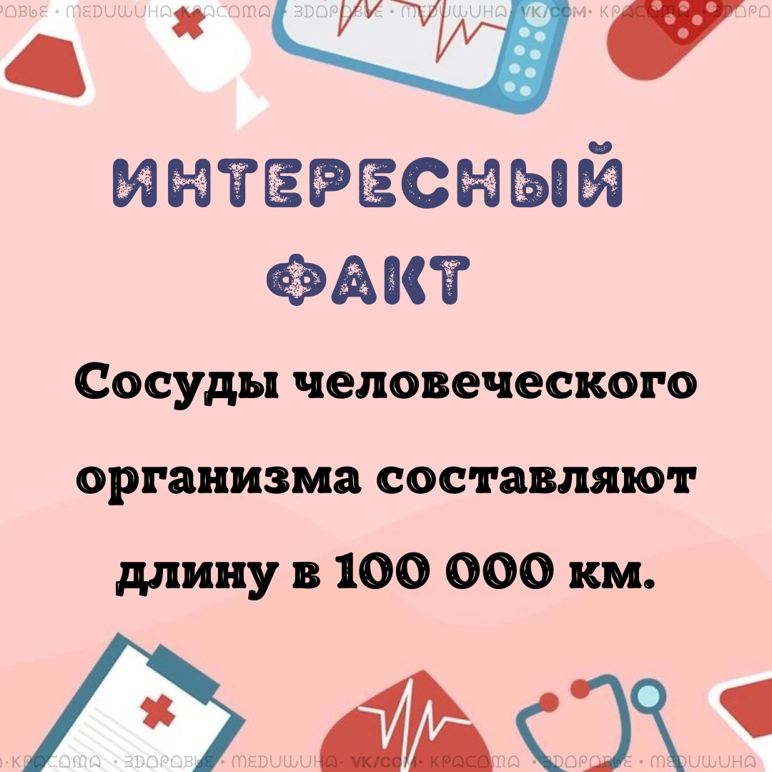 hgH AZ5Mf8aKbz8YJD97u3KyT3PCiYkCGxMnSwCYUNAUmof37YkYagK1 0i4SUni19q5RQ6EcDyQcqMPGRVfu 3 - Для очищения сосудов следует увеличить прием таких продуктов как: жирная рыба, чеснок, куркума, помидоры, яблоки, шпинат, оливковое масло, овсянка.