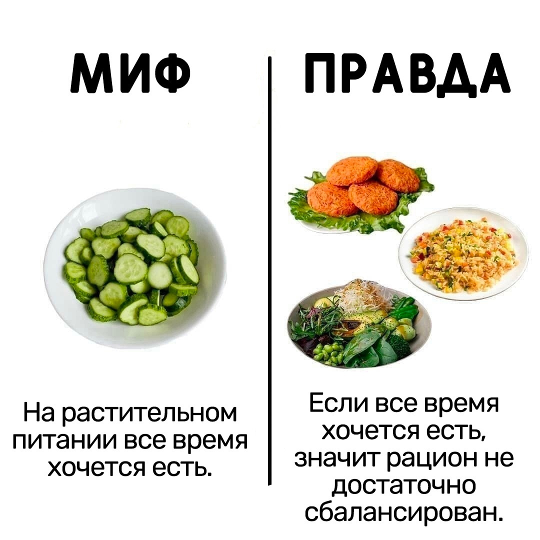 sTfgAG5gyOfUbYrytoBjgzsAaq3Bg OfGTNJM4ac6LwW4YpZoEo9G Z  mAN7E NYWnNKk1GZyioCfHFXsxJl71  - Правильное питание — это не безвкусная пища