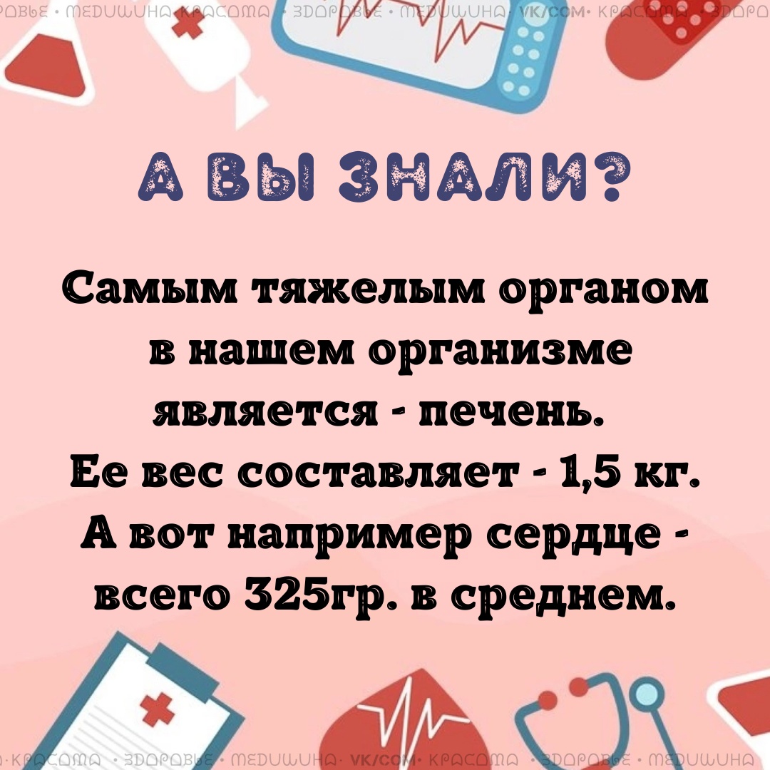 w9umxXbrWTsVoBOfZB  B XkGpE1lcM65iXC1 SLzsvkL7fnBzdUATUucHEtc5Mp42OANzZ4XO4yvxNmGxXvFkAy - Печень является органом, в котором за одну минуту уничтожаются миллионы токсических веществ.