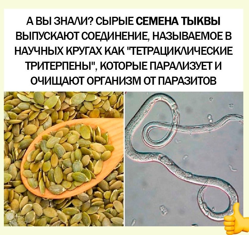 1 aq4JYdD9JcNzUCE5 R3udFv3z1 ZMHGScfLlfcjUzbNszFXknMirXPug9Zrjm7 C3Tqj8Y9ZeutLAot 4jtajb - Ого!
