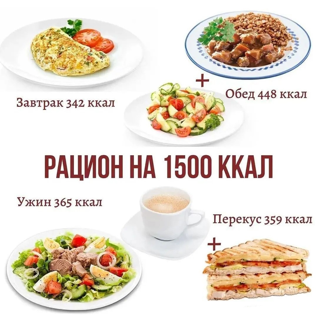cVoUS KQjiWt2O3POfulF2Y8XYI9hKU1 lLPN1BlP0nBrN8rHaJ 0pNy6QBP7NoTZpNKxEhanFQ2RHzDXVLOZDyg - Представляем вам пример рациона на 1500 ккал в день.