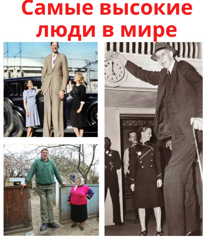 5EEXJIDIYBg1L3QJm3Bas ftYdO6GDef1odd57kDEnWrBvNvze19KFzchri54 AetwpbmGxrlEUtmoHFdmEa rka - Замечено, что у слишком высоких людей заметно снижается качество жизни.