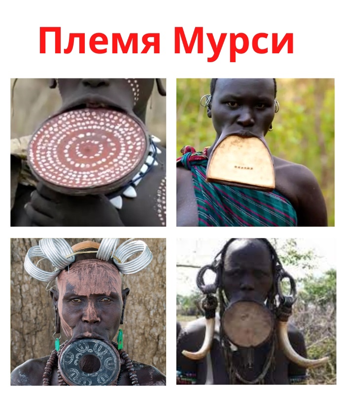 Племя Мурси проживает на юго-западе Эфиопии. HLSugUjKyeM - Племя Мурси проживает на юго-западе Эфиопии.
