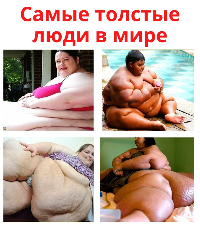 StMiOVjBBTOXfz ztkL6U1kxgtdNA9mXl2Im L2v3C2VF0WJrtwGC92SsfIvJ3cbv49RR7U2sVfvyMwT2Epi44FM - В чем причина сильного ожирения у человека.