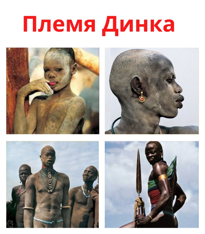 Народ племени Динка считается одним из самых высоких народов Африки. nmMxjsxJ lc - Народ племени Динка считается одним из самых высоких народов Африки.