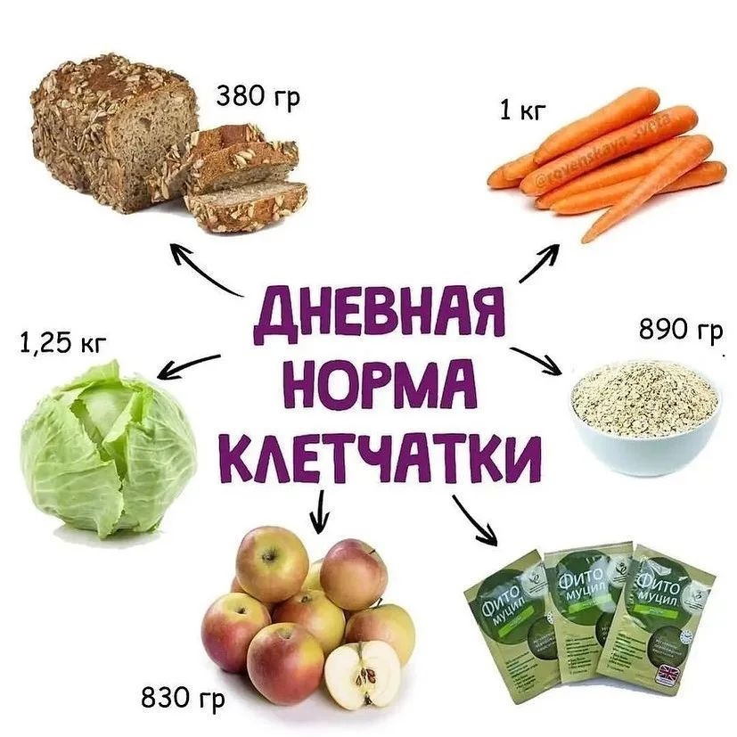 wbrxwgu8Ms7F 5B5hDcJ0fJh5qx1dbkHiBz44iBqpaxQKsLi6CKEjYJKiyKt48LsqcKG3yERHCVCkSkxT3TWTgR  - А вы соблюдаете дневную норму клетчатки?