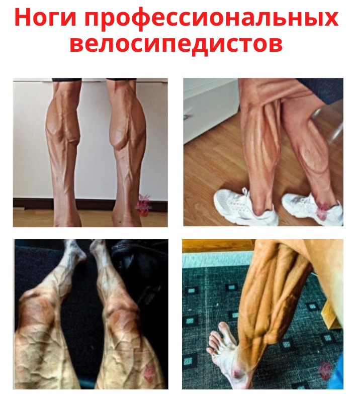mBo8v0Gc1S0 - Вот так выглядят ноги профессиональных велосипедистов после длительных заездов: сухие, сепарированные мышцы, мало жира и мало воды.
